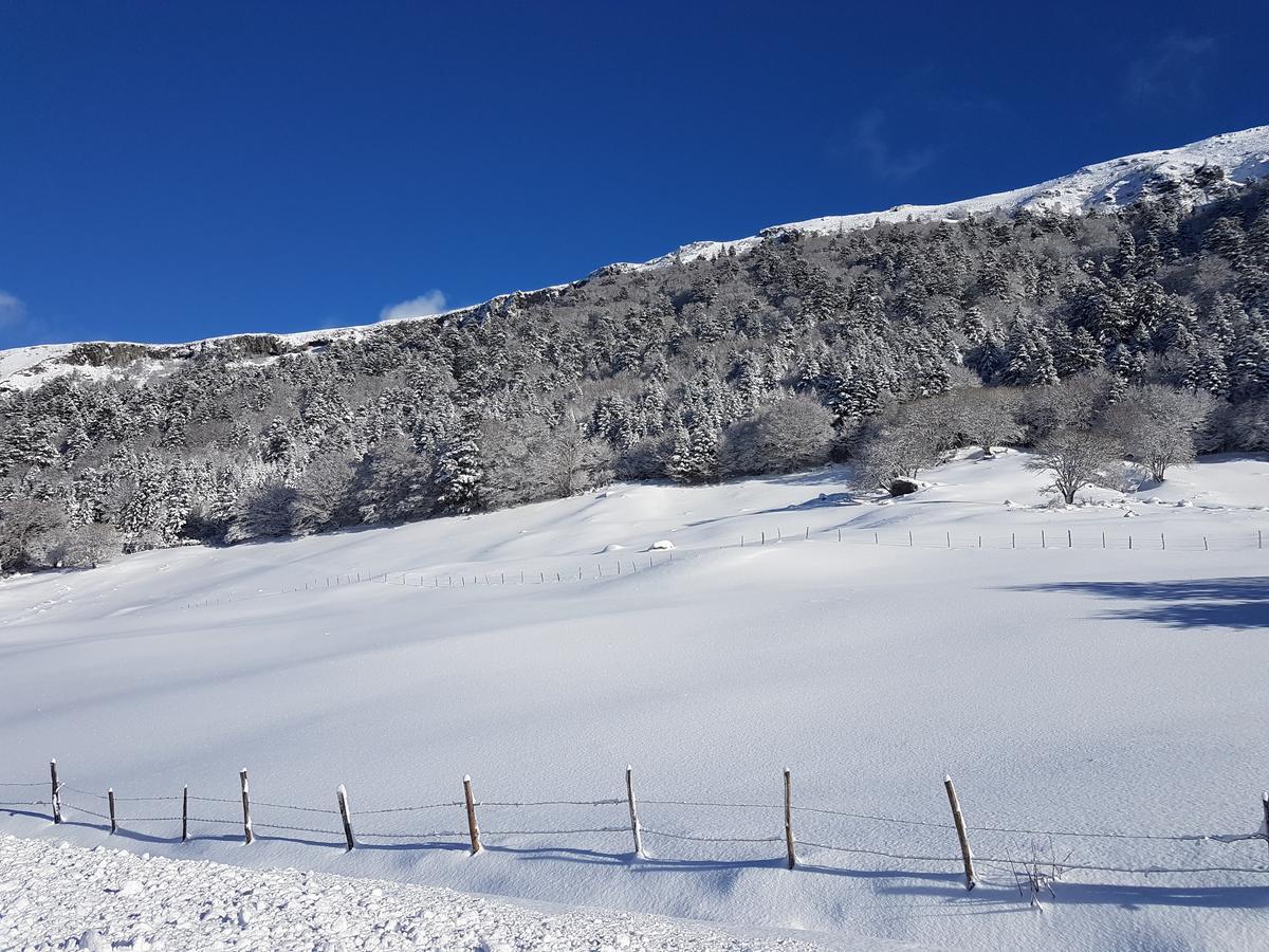Residence Wilson Le Mont-Dore Dış mekan fotoğraf